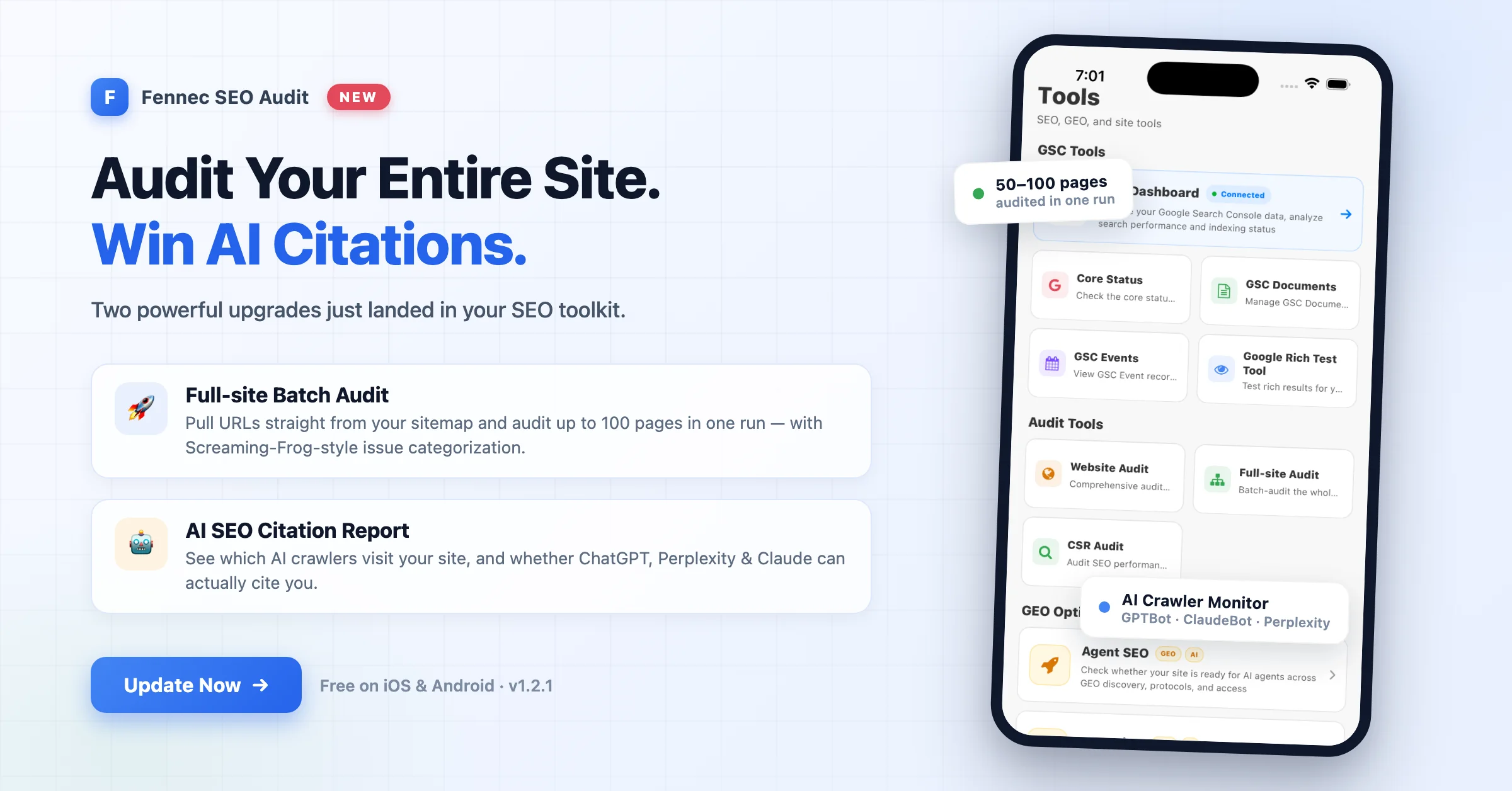 Fennec SEO v1.2.1: full-site batch audit and AI citation report