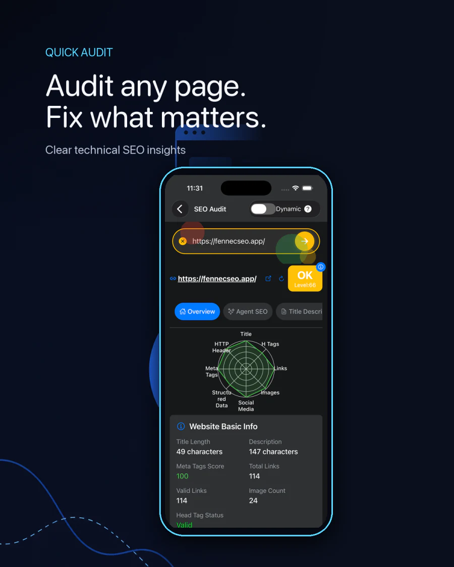 Fennec SEO 1.2 page audit on iPhone